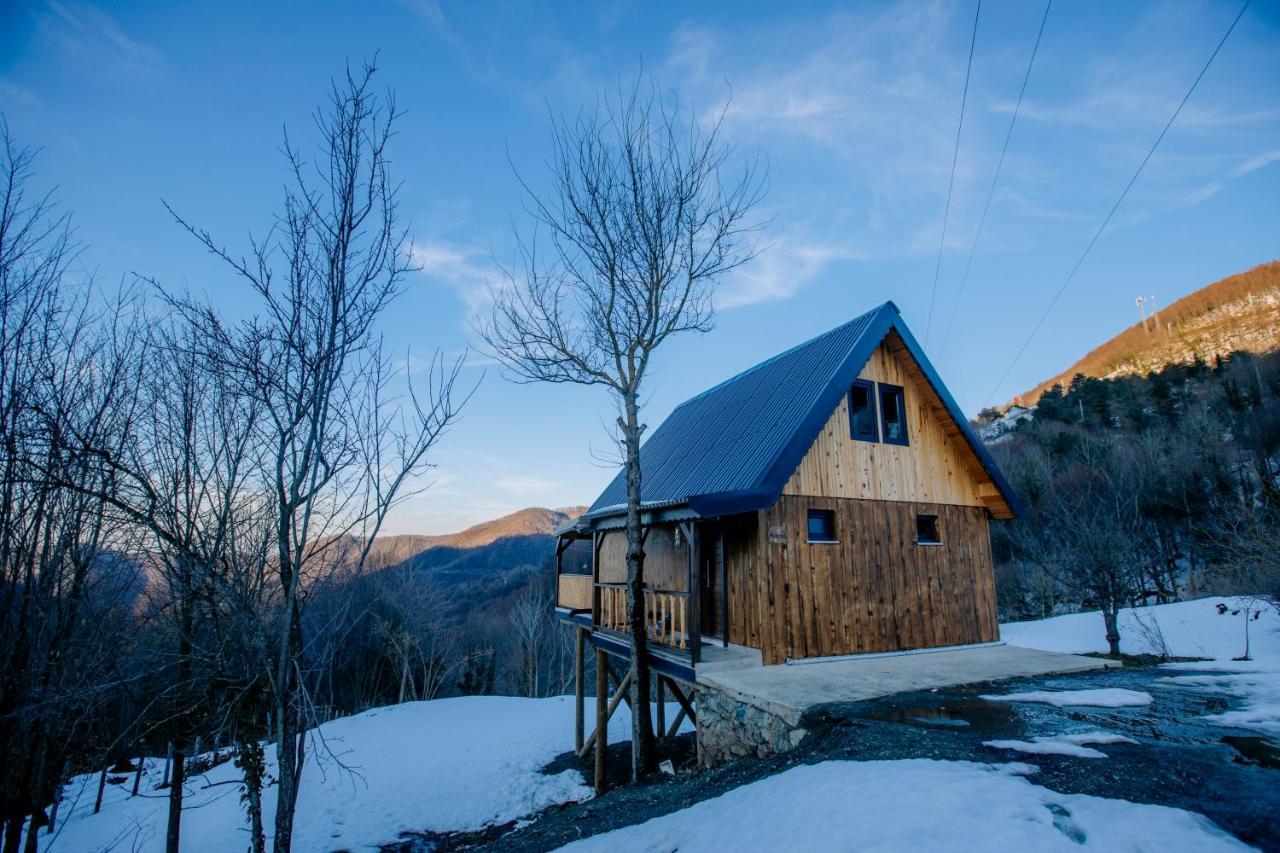 Maksudiye Selale Tatil Koeyue Geyve Exterior photo